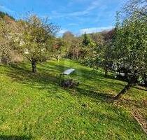 GROß UND GÜNSTIG - 65.000,00 EUR Kaufpreis, ca.  800,00 m² in Wald-Michelbach (PLZ: 69483)