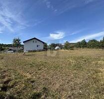 GESTALTUNGSFREIHEIT TRIFFT RUHE UND NATUR - Greifenstein