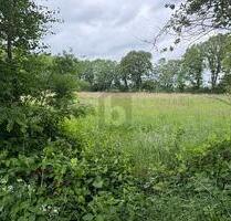 FÜR ANLEGER ODER BAUTRÄGER - 650.000,00 EUR Kaufpreis, ca.  10.164,00 m² in Lutzhorn (PLZ: 25355)