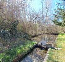 VIEL PLATZ MIT KLEINEM WEIHER UND BACHLAUF - Scheuring