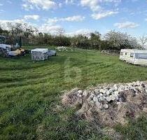 LÄNDLICHE IDYLLE: PLATZ FÜR IHRE WOHNTRÄUME - Güglingen