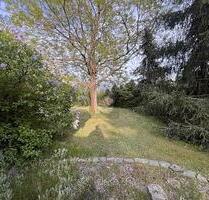 IDYLLISCHER RÜCKZUGSORT AM SEE - 99.000,00 EUR Kaufpreis, ca.  45,00 m² Wohnfläche in Schildau (PLZ: 04889)