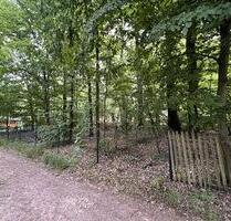 WOHNEN IM GRÜNEN: IHR RÜCKZUGSIDYLL - Bennewitz