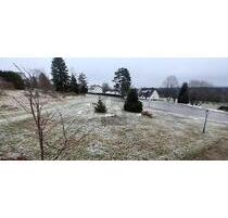 WOHNEN MIT ALPENSICHT - 120.000,00 EUR Kaufpreis, ca.  600,00 m² in Eisenbach (Hochschwarzwald) (PLZ: 79871)