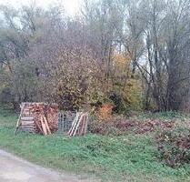 IDYLLISCHES WALDSTÜCK AM ORTSRAND - Landsberied