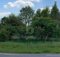 IHR RÜCKZUGSORT - RUHE, NATUR, PRIVATSPHÄRE - Zörbig