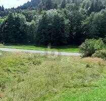 BAUGRUNDSTÜCK: GENEHMIGTES EINFAMILIENHAUS - Lauterbach