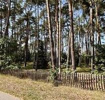 RUHIGE WOHNLAGE NAHE DER ELBE - 75.000,00 EUR Kaufpreis, ca.  2.444,00 m² in Gorleben (PLZ: 29475)