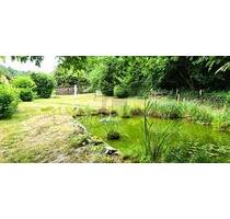 NATUR PUR  ENTSPANNUNG ZUHAUSE - Osterode am Harz