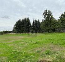 EIN PARADIES FÜR FAMILIEN - 72.000,00 EUR Kaufpreis, ca.  900,00 m² in Grimma (PLZ: 04668)