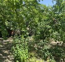 VERBORGENES TRAUMSTÜCK - 199.000,00 EUR Kaufpreis, ca.  338,00 m² in Stutensee (PLZ: 76297)