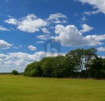 VIEL PLATZ FÜR DIE GANZE FAMILIE IM ALTEN LAND - Hollern-Twielenfleth