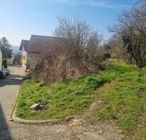IHR TRAUM VOM HAUS, RUHIG AM FELDRAND - Alzey