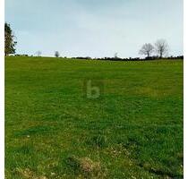 BAUEN AUF ERWEITERBARER FLÄCHE - 90.000,00 EUR Kaufpreis, ca.  2.000,00 m² in Burbach (PLZ: 54597)