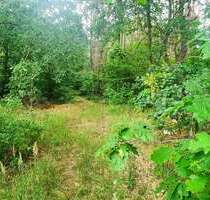 Naturparadies für Jäger, Erholungssuchende und Naturliebhaber - Schorfheide