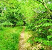 Lost Places & Naturidyll, perfekte Lage für Ferienunterkünfte! - Havelberg