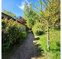 Geräumige Parterre-Eigentumswohnung mit eigenem Grundstück und Parkflächen in ruhiger Ortsrandlage - Kaiserslautern