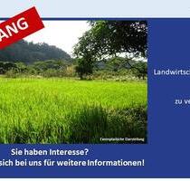 Großzügige Landwirtschaftsfläche oder Ausgleichsfläche zu verkaufen in Syrgenstein - Ein Objekt von SOWA Immobilien & Finanzen Ihrem Immobilienprofi vor Ort