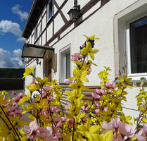Charmantes, denkmalgeschütztes Ensemble aus Wohnhaus und Scheune für die große Familie - Coswig