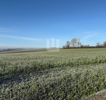 WINDISCH IMMOBILIEN - Landwirtschaftliche Fläche nähe Mittelstetten - Mittelstetten / Tegernbach