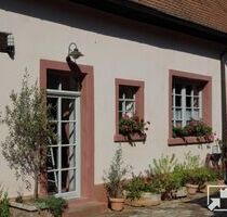 Historisches Winzeranwesen, möblierte Wohnung auf Zeit - Ellerstadt