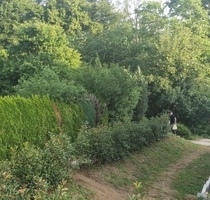 3-Zimmerwohnung mit Garten u. Garage für Single oder Paare - Stuttgart