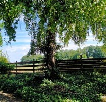 Freistehendes Einfamilienfertighaus in traumhaft schöner und sehr ruhiger Lage in Winnenden Breuning