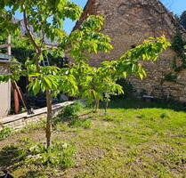 ObjNr:19691 - In 2004 voll saniertes 1- Zweifamilienhaus mit kleinem Garten und Hof - Eppelsheim