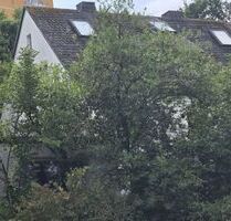 Kleiner versteckter Traum mit viel Grünfläche! Mehrfamilienhaus in 97074 Würzburg-Frauenland (ID 92)