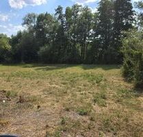 3 Bauplätze in 97450 Arnstein mit 1350 m² (ID 10530)
