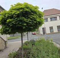 Wohn- und Geschäftshaus in 96126 Ermershausen Haßfurt (ID 10536)