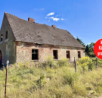 49.000,00 EUR Kaufpreis, ca.  11.132,00 m² in Plöwen / Dorotheenwalde (PLZ: 17321)