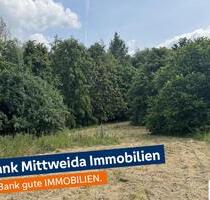5260m² Großes Grundstück - bebaut mit Scheune und Werkstatt - Wald und Wiese! - Striegistal Naundorf