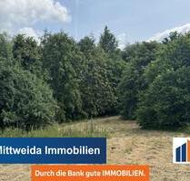 5260m² Großes Grundstück - bebaut mit Scheune und Werkstatt - Wald und Wiese! - Striegistal Naundorf