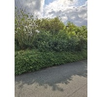 Großes Grundstück in Lügde - 112.000,00 EUR Kaufpreis, ca.  800,00 m² in Lügde (PLZ: 32676)