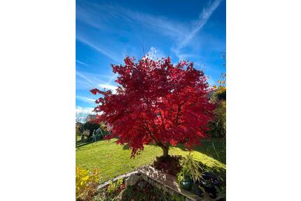 Exklusives Zweifamilienhaus mit Einliegerwohnung, - Wettstetten