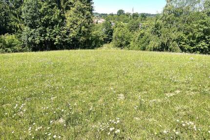 1.750 m² Wohnbaufläche inmitten von 14.646 m² Wiesengrund - Bernried Bremersbach