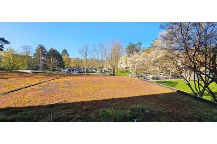 Gemütliche 3-Zimmer-Wohnung mit Loggia sucht Sie! - Wiesbaden Dotzheim