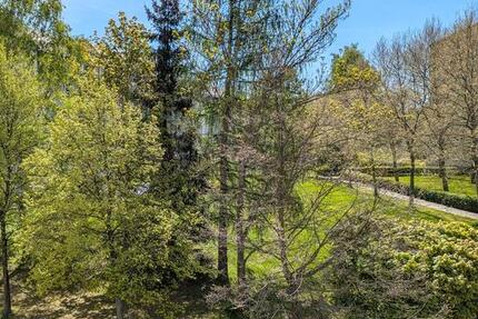 Familienwohnung in super Lage! - 422,00&nbsp;EUR Kaltmiete, ca.&nbsp; 67,00&nbsp;m&sup2; in Freiberg (PLZ: 09599)