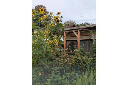 Kleingarten - 500,00&nbsp;EUR Kaltmiete, ca.&nbsp; 0,00&nbsp;m&sup2; in Senftenberg (PLZ: 01968)