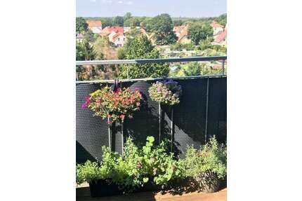 Wohnung zum Kaufen in Markkleeberg 488.000,00 € 144.35 m²