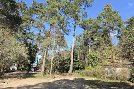 Grundstück zu verkaufen in Zühlsdorf 280.000,00 € 1370 m²