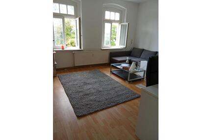 möblierte 2 Raum Wohnung - 340,00&nbsp;EUR Kaltmiete, ca.&nbsp; 54,00&nbsp;m&sup2; in Elsterberg (PLZ: 07985)