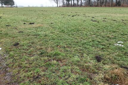 Grünland 0,9 ha zur Nutzung - 434,00&nbsp;EUR Kaltmiete, ca.&nbsp; 0,00&nbsp;m&sup2; in Visselhövede (PLZ: 27374)