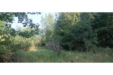 Grundstück zu verpachten - 100,00&nbsp;EUR Kaltmiete, ca.&nbsp; 0,00&nbsp;m&sup2; in Fredersdorf-Vogelsdorf (PLZ: 15370)