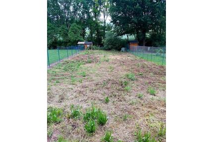 Gartengrundstück mit kleinem Gerätehaus zu verpachten - Bad Bibra