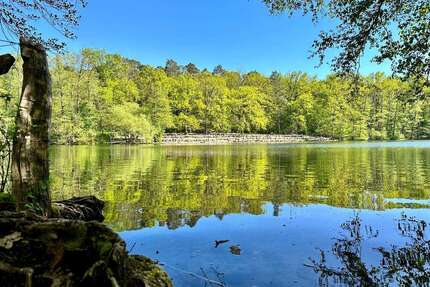 Haus zum Kaufen in Berlin - Dahlem 2.400.000,00 € 246 m²