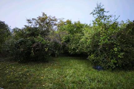 Grundstück in Bruchsal - 130,00&nbsp;EUR Kaltmiete, ca.&nbsp; 0,00&nbsp;m&sup2; in Bruchsal (PLZ: 76646)