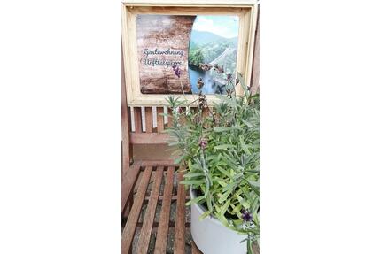 Neue Ferienwohnung im Nationalpark EifelSchleiden 2-3 Personen