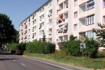 2-Raum-Wohnung in Altriesa - 294,00&nbsp;EUR Kaltmiete, ca.&nbsp; 48,94&nbsp;m&sup2; in Riesa (PLZ: 01589)